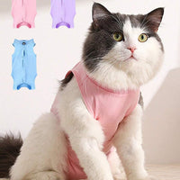 Cat super Suit - חליפה מלכותית לחתול