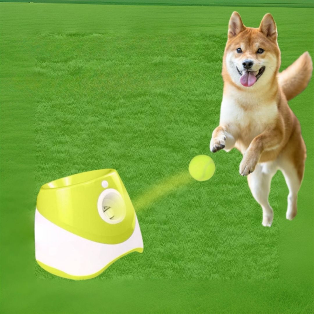 DoggyLaunch Ball - משגר כדורים אוטומטי