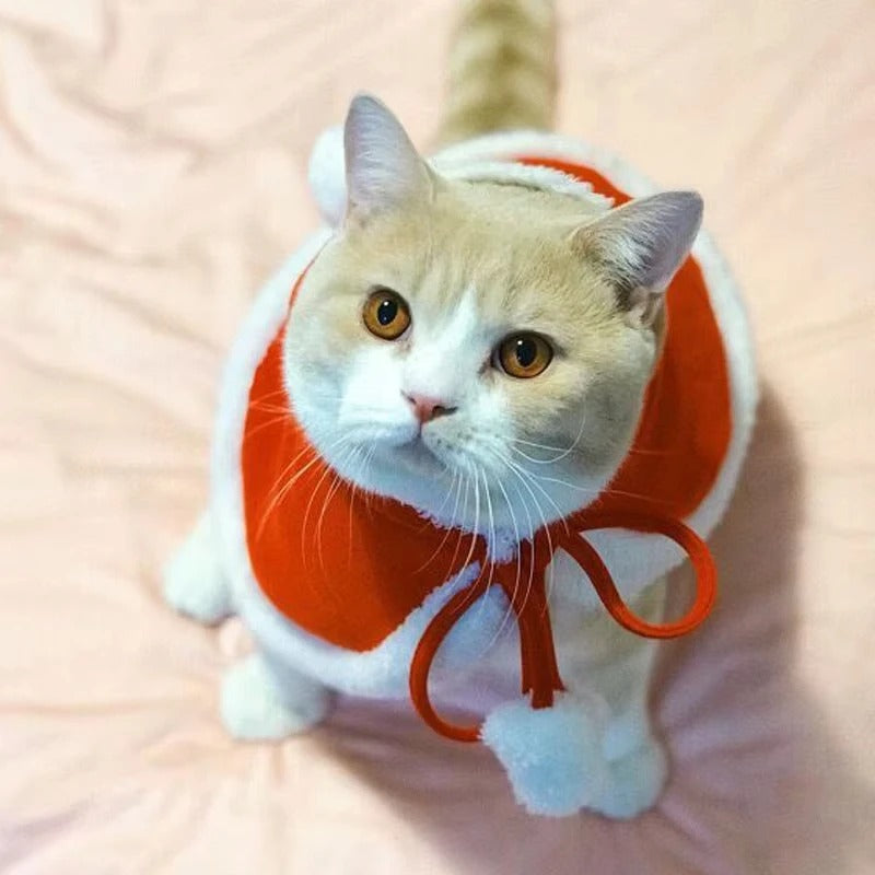 Santa Claus Pet Costume - תחפושת סנטה לכלבים וחתולים