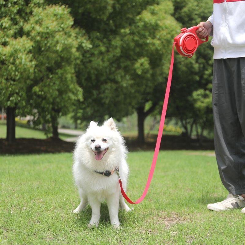 Smart Leash - רצועה רב תכליתית לכלב