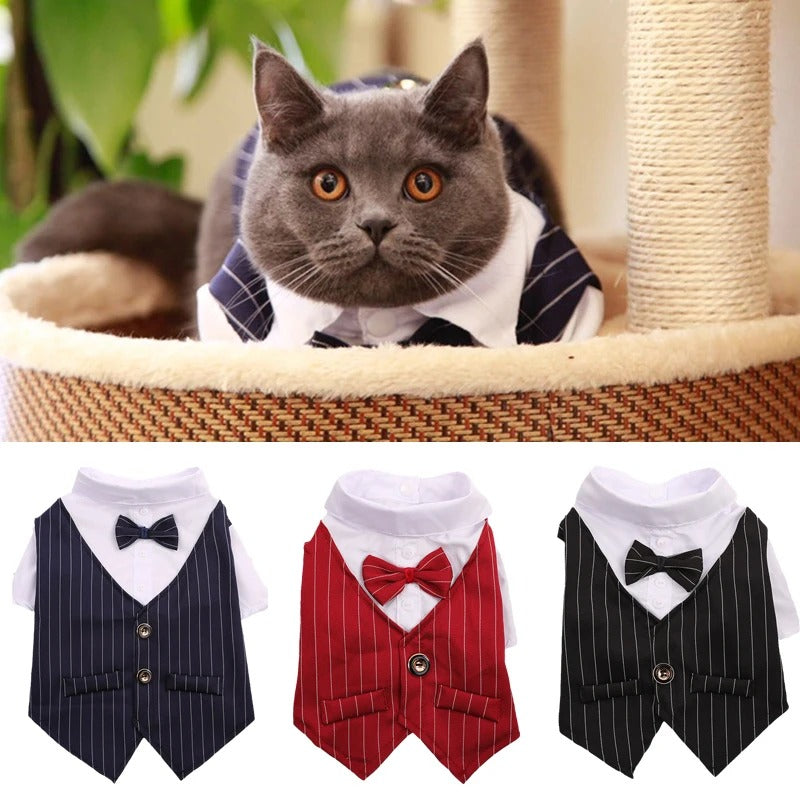 Elegant Pet Tuxedo - חליפת טוקסידו אלגנטית לכלבים וחתולים